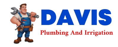 Trusted plumber in DIAZ